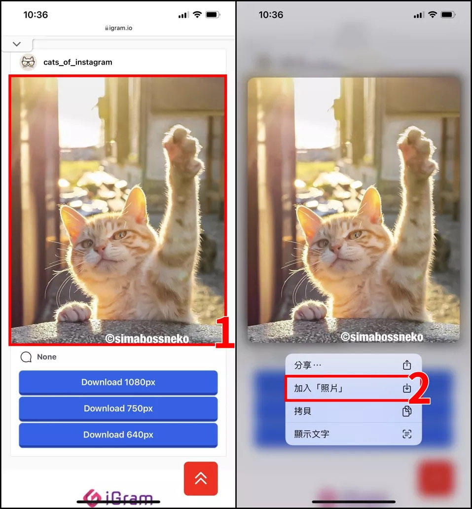 Instagram 图片／视频要怎么下载、保存？这篇教程 包教包会！-字节智造