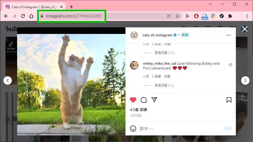 Instagram 图片／视频要怎么下载、保存？这篇教程 包教包会！-字节智造