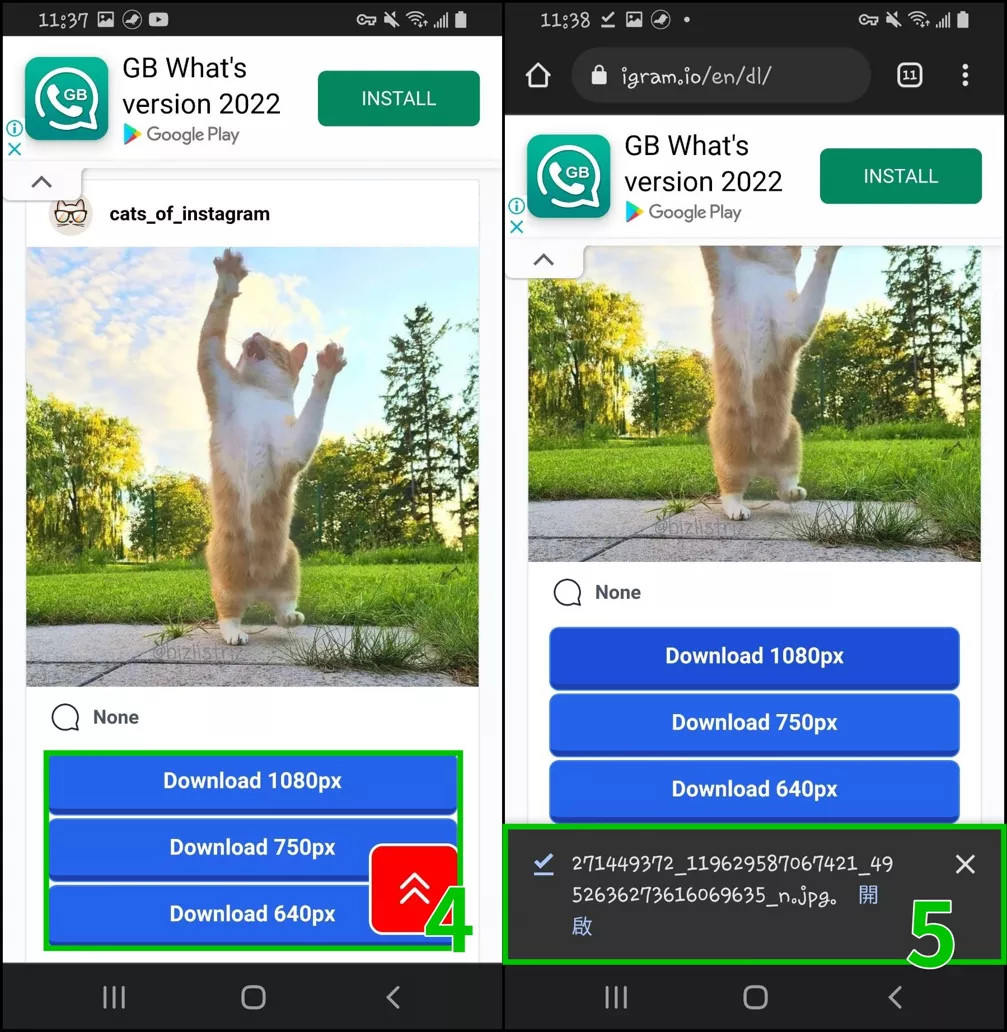 Instagram 图片／视频要怎么下载、保存？这篇教程 包教包会！-字节智造