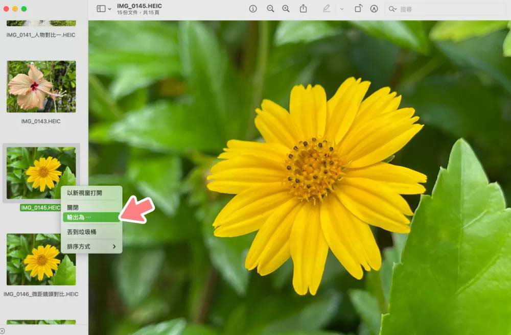 教***用 Mac 把 HEIC 照片输出为 JEPG、PDF等多种格式-字节智造