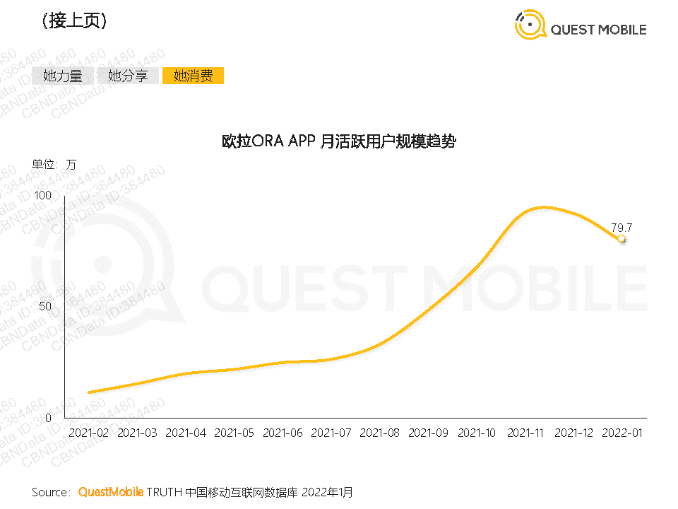 QuestMobile2022年她经济洞察报告(图31)