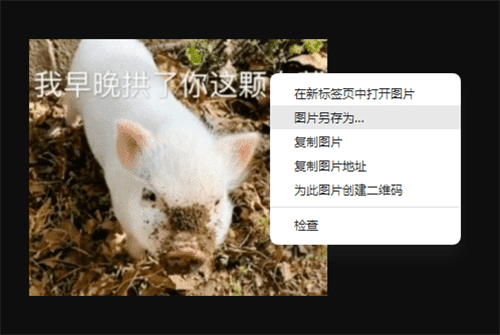 屏幕截图(7).png
