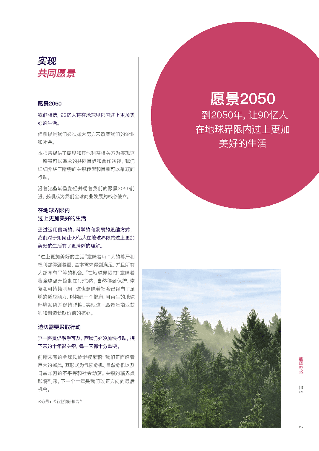 能源、交通、材料、金融、医疗、食品(通往愿景2050的转型路径)(图4)