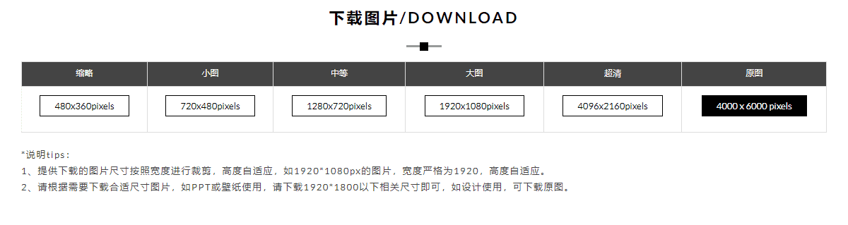 西田图像(图5)