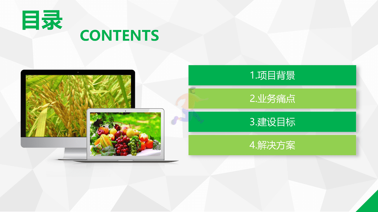 数字乡村综合解决方案(图2)