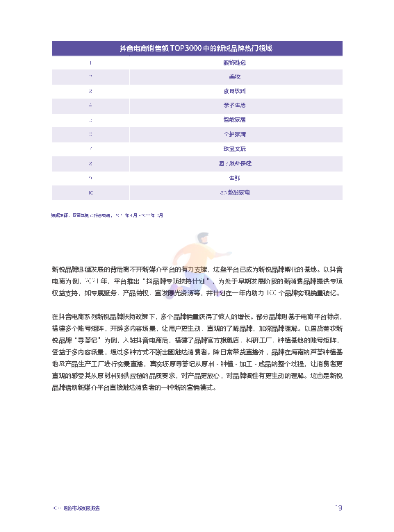 2022国货市场发展报告：新媒介、新消费与新文化(图25)