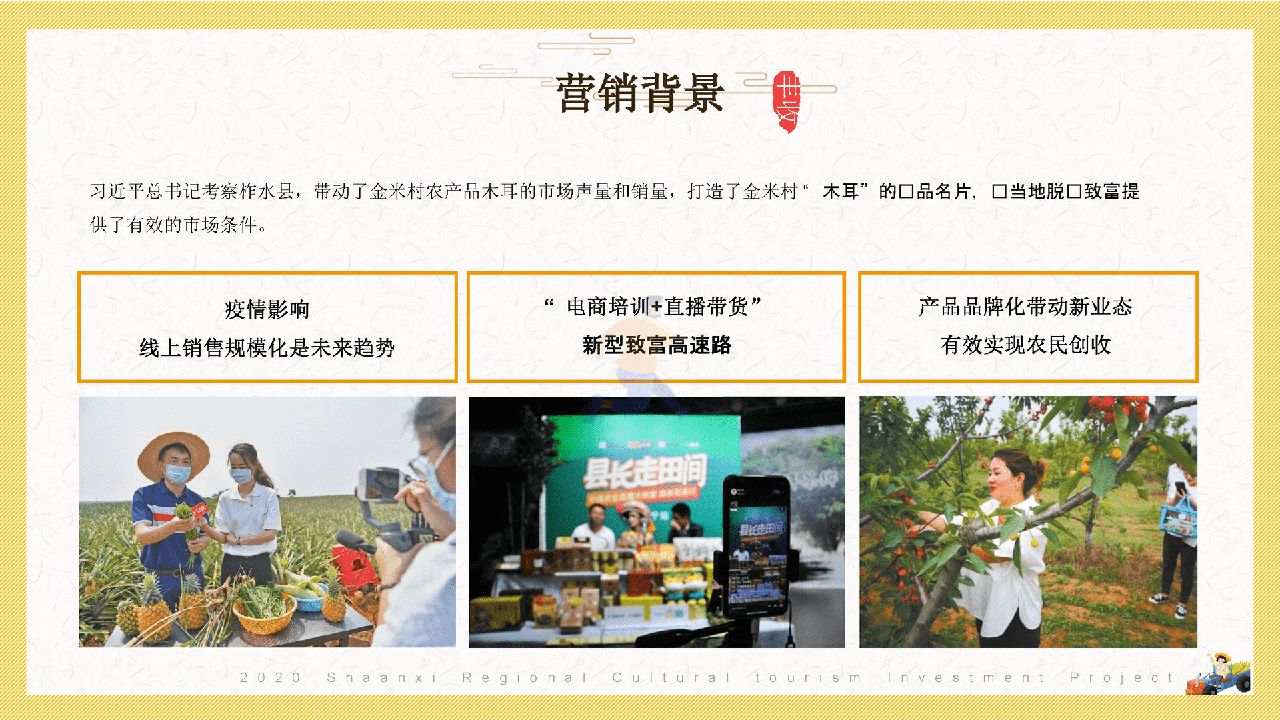 陕西区域特色农产品“一眼长安  百味陕西”整合推广方案(图11)