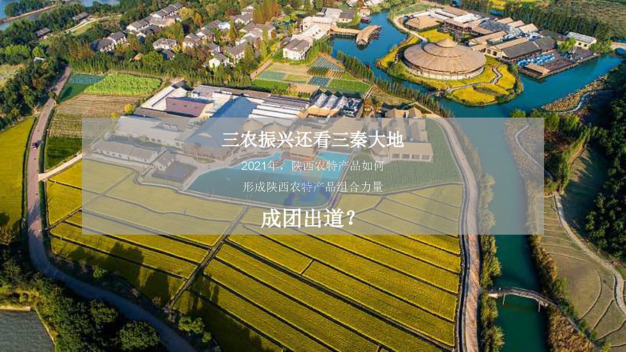 陕西区域特色农产品“一眼长安  百味陕西”整合推广方案(图14)