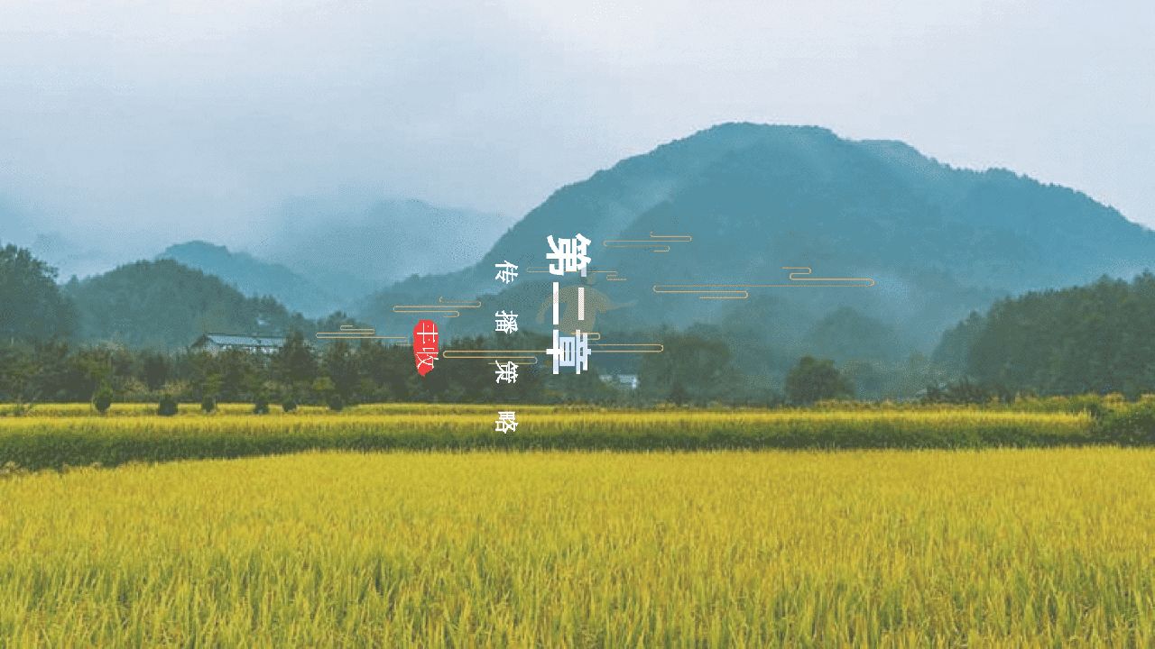 陕西区域特色农产品“一眼长安  百味陕西”整合推广方案(图15)