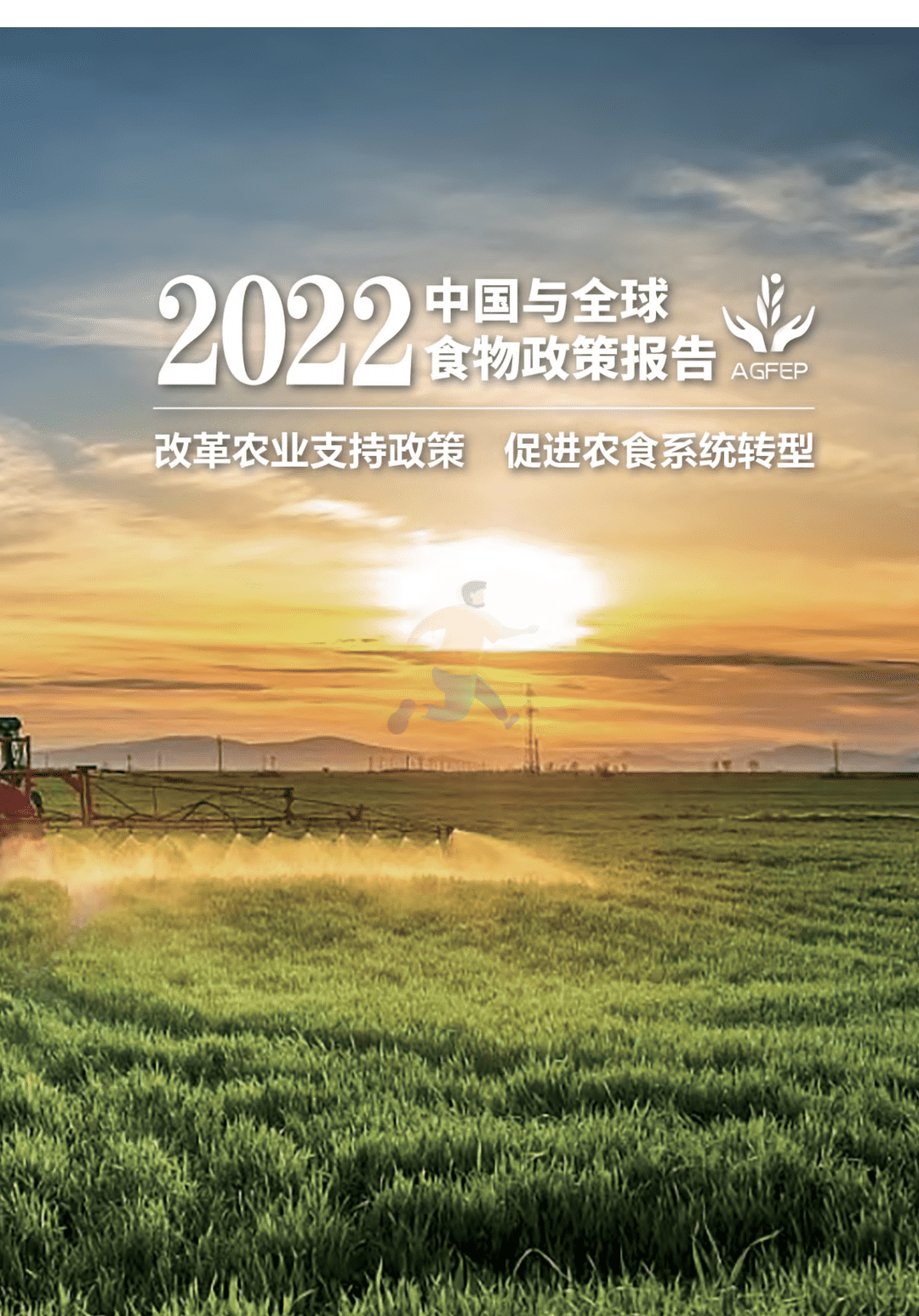 2022年中国与全球食物政策报告(图3)
