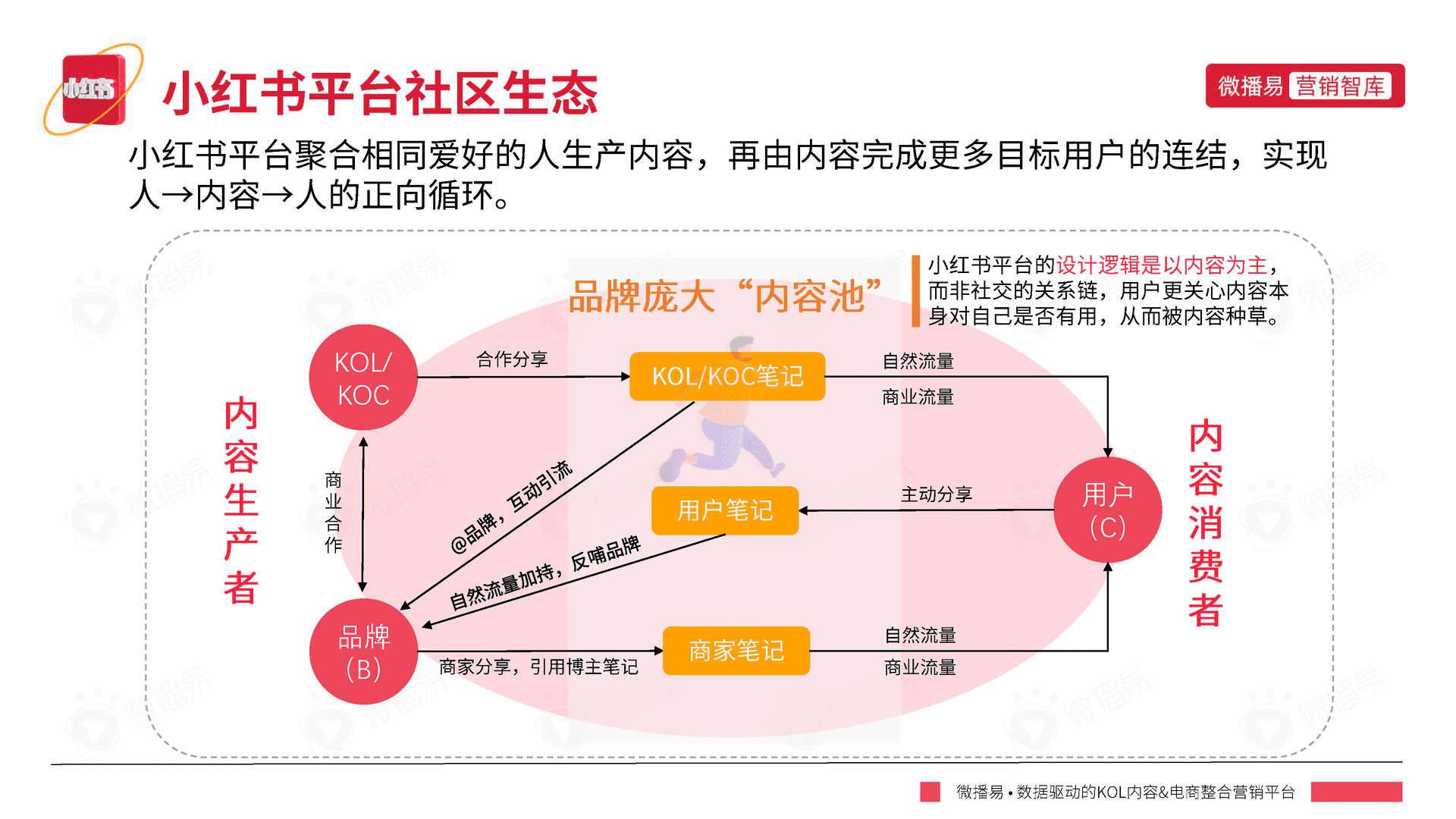 小红书平台营销投放报告-微播易(图12)