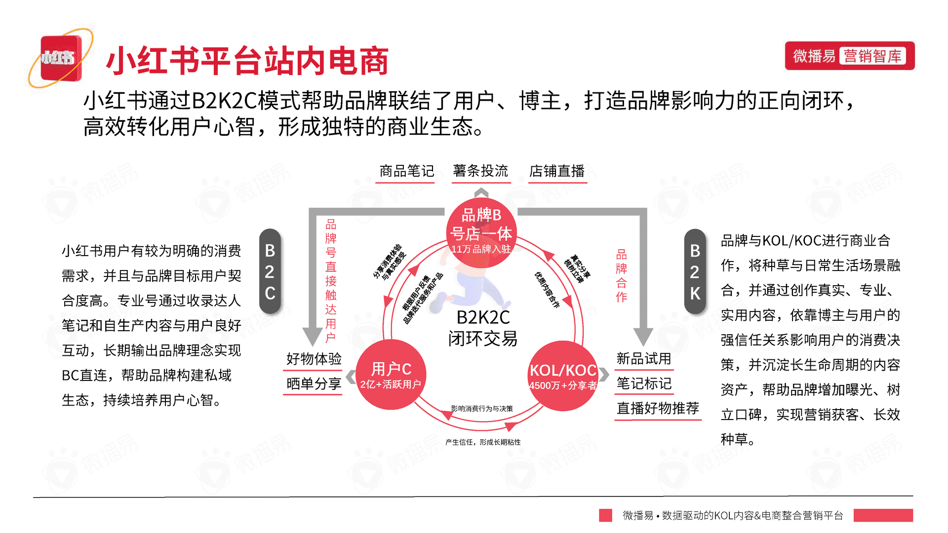小红书平台营销投放报告-微播易(图14)