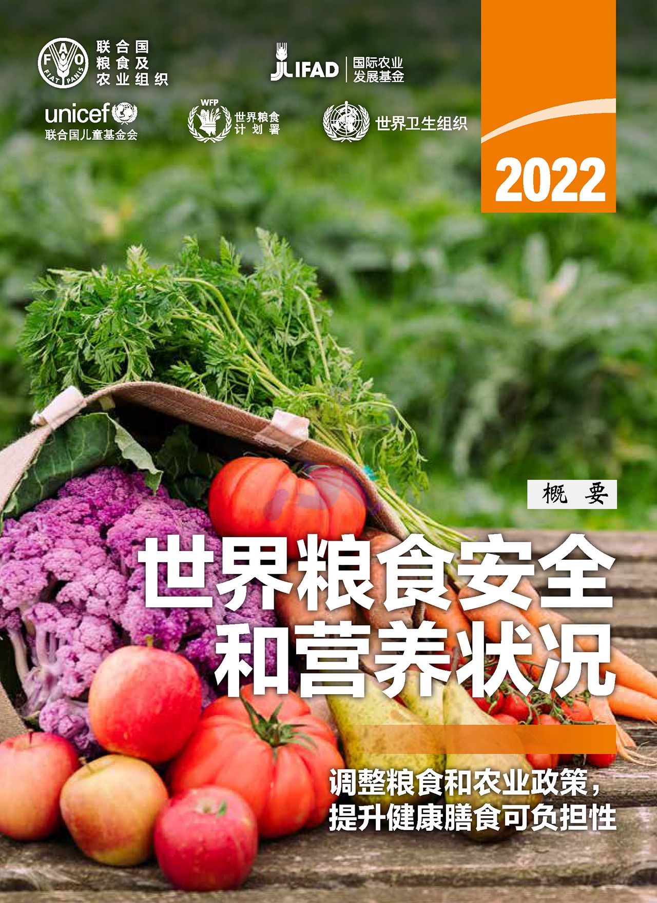 2022年世界粮食安全和营养状况