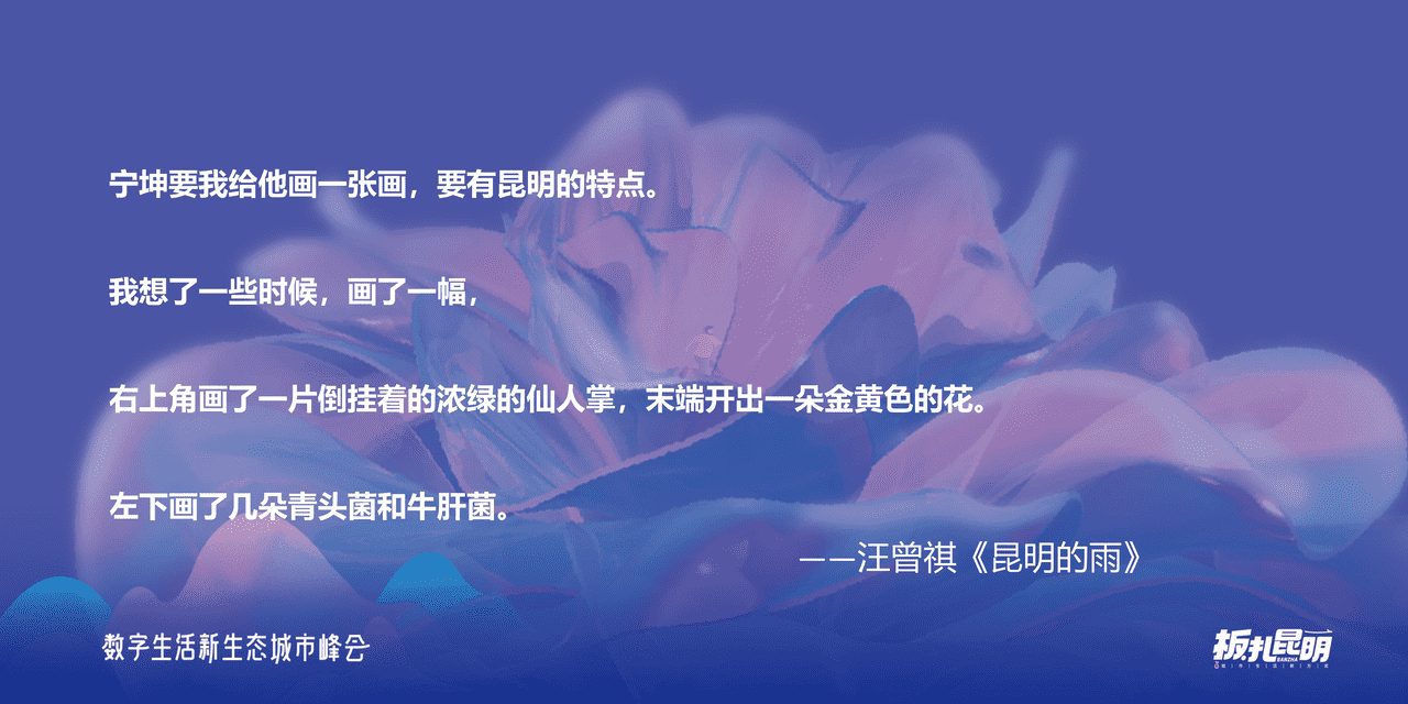***量引擎-板扎昆明：数探昆明美好生活 (13).png