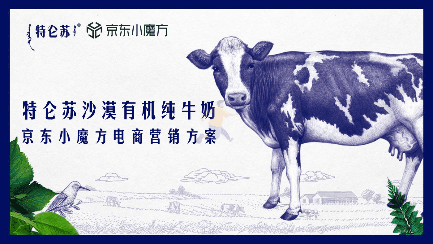 特仑苏沙漠有机纯牛奶京东小魔方电商营销方案