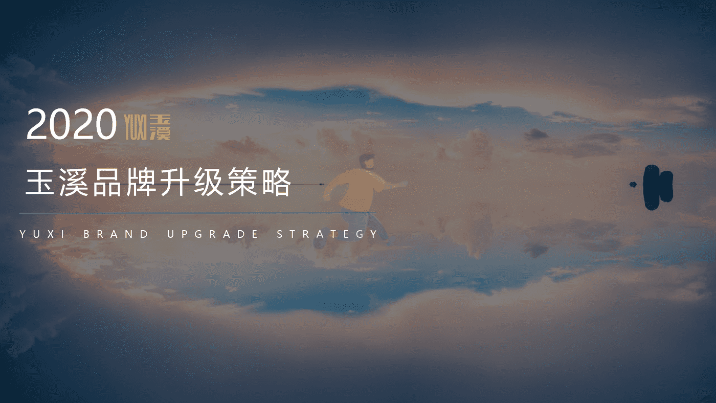 2020玉溪品牌升级策略方案