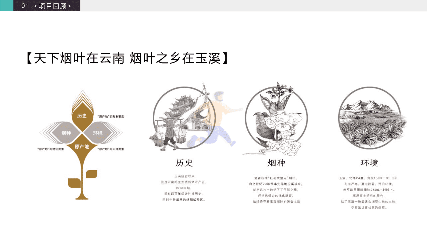 2020玉溪品牌升级策略方案 (14).png