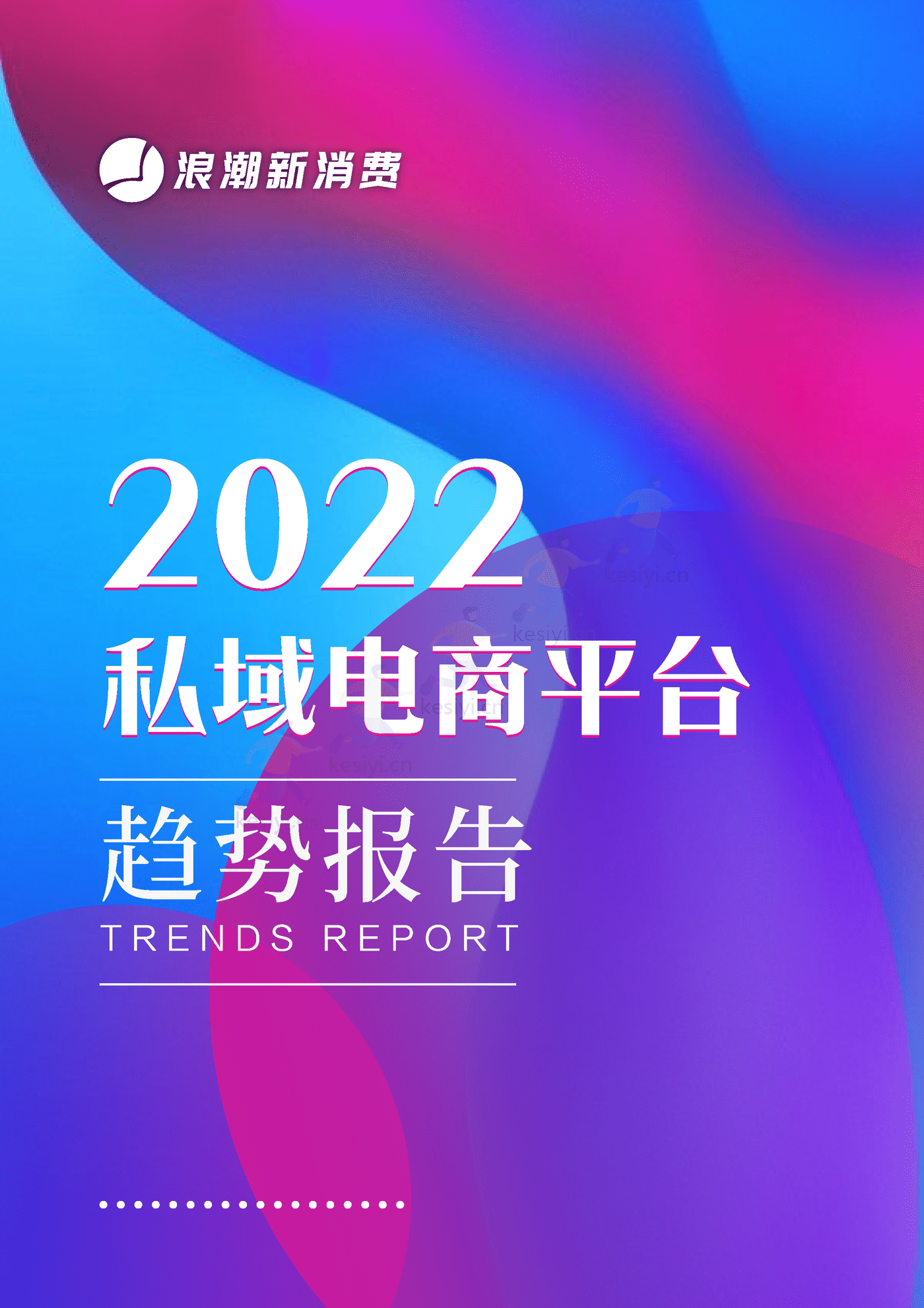 2022私域电商平台趋势报告-浪潮新消费