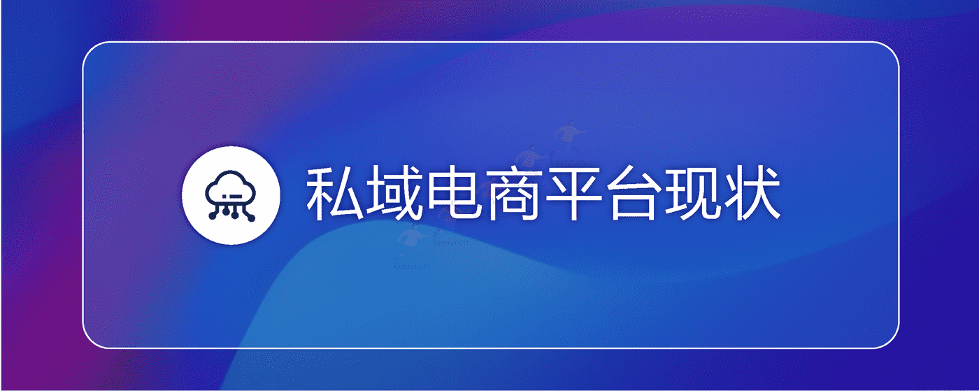 2022私域电商平台趋势报告-浪潮新消费 (13).png