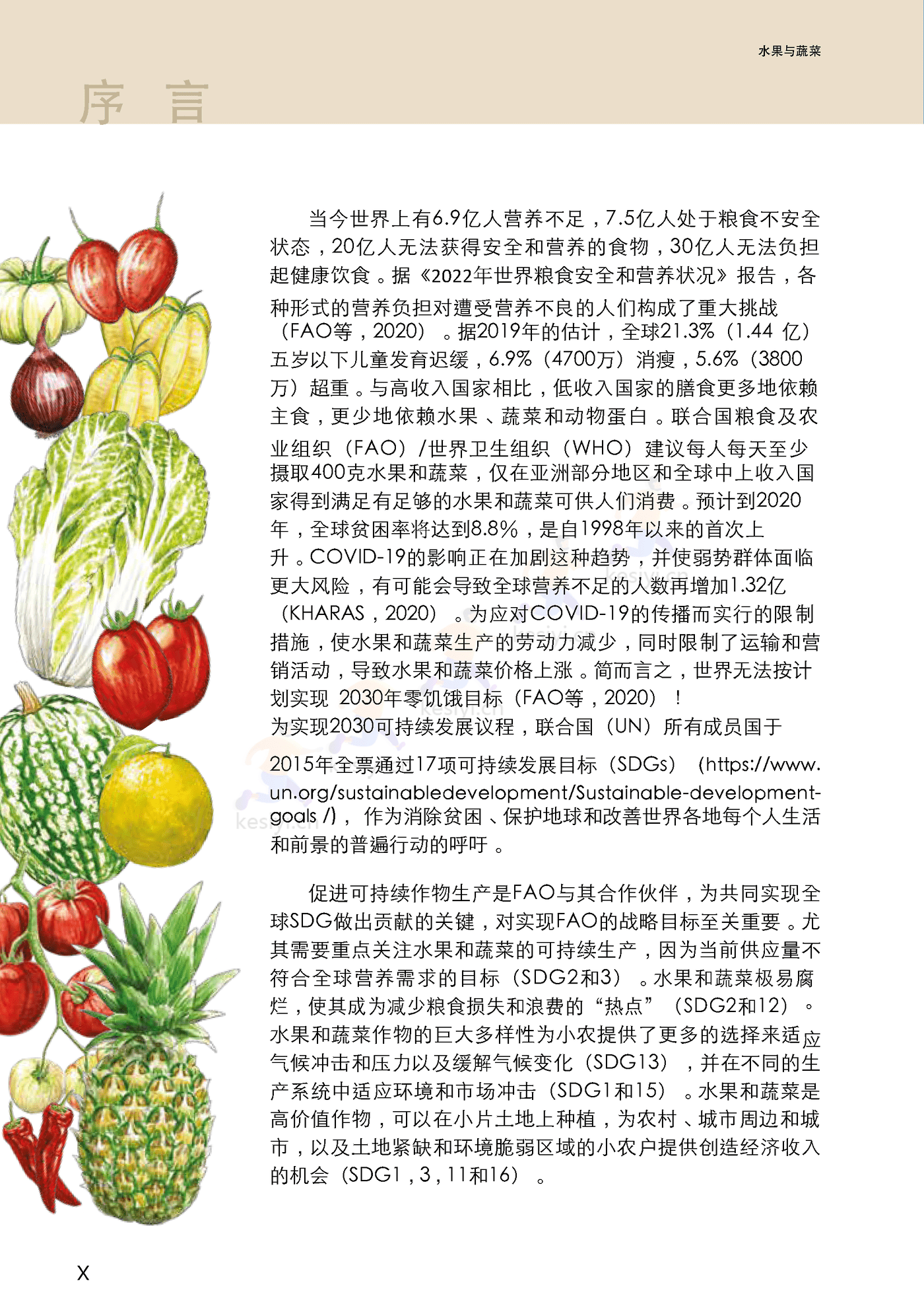 水果与蔬菜-小规模可持续农业的机遇与挑战 (12).png