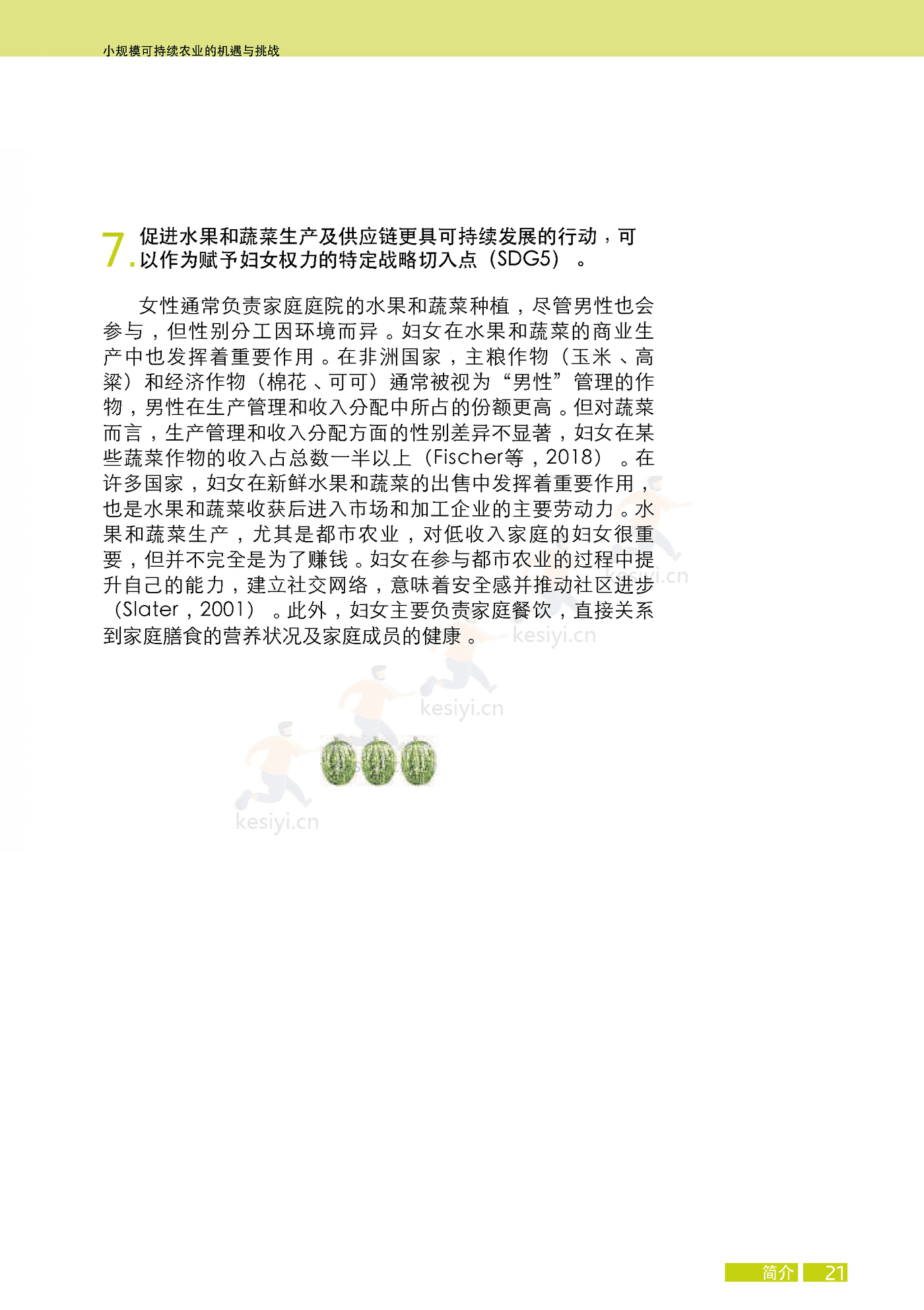 水果与蔬菜-小规模可持续农业的机遇与挑战 (37).png