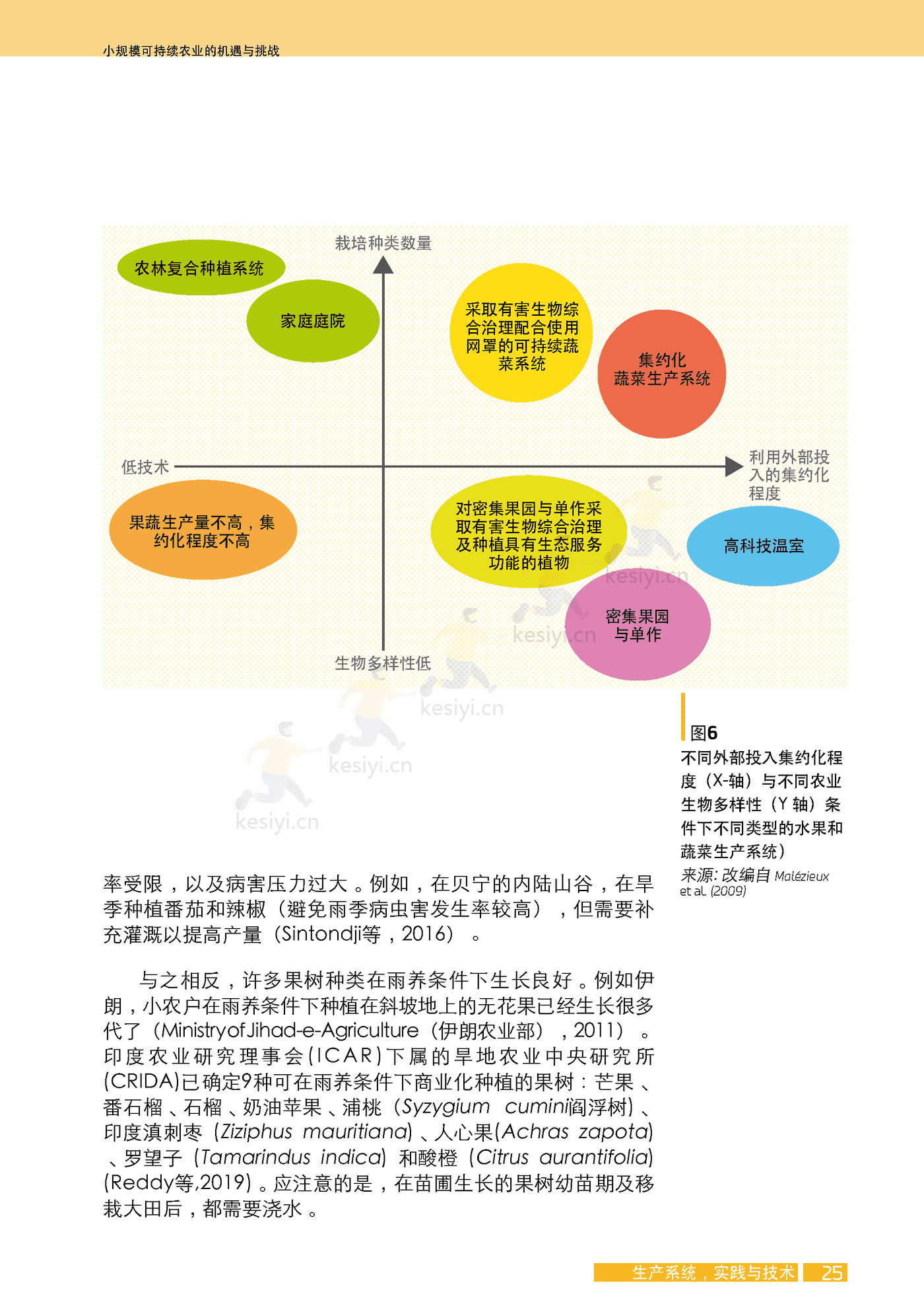 水果与蔬菜-小规模可持续农业的机遇与挑战 (41).png
