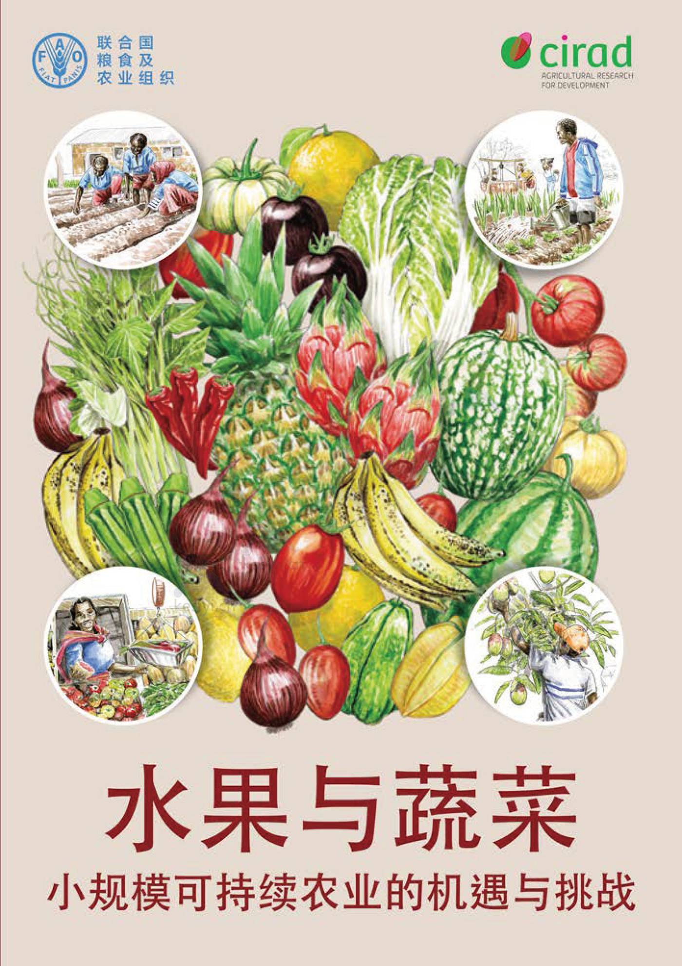 水果与蔬菜-小规模可持续农业的机遇与挑战 (1).jpg