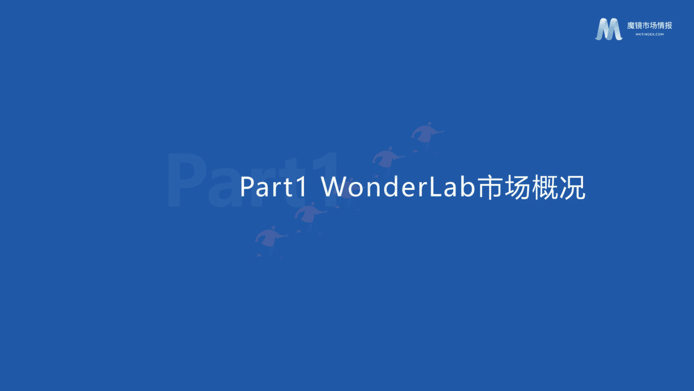2022年WonderLab市场洞察分析报告-魔镜市场情报 2022年WonderLab市场洞察分析报告-魔镜市场情报