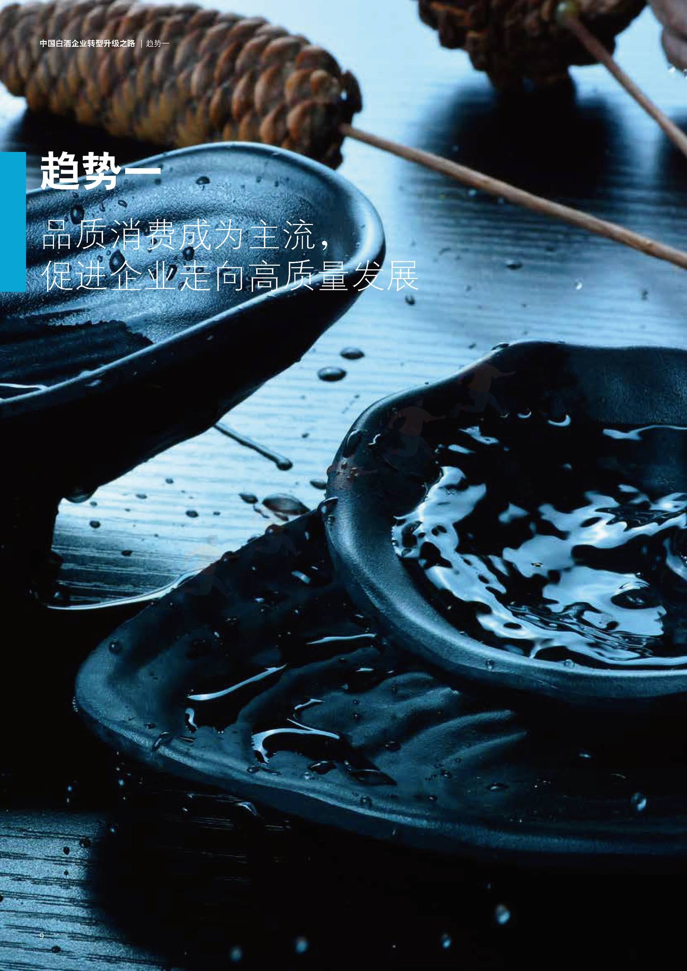 德勤(Deloitte):中国白酒企业转型升级之路 德勤(Deloitte):中国白酒企业转型升级之路