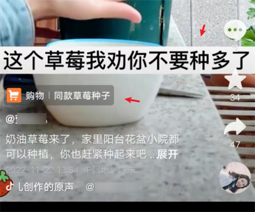 如何做个赚钱的抖音号 小视频 抖音 博客运营 第2张
