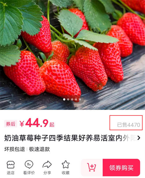 如何做个赚钱的抖音号 小视频 抖音 博客运营 第3张