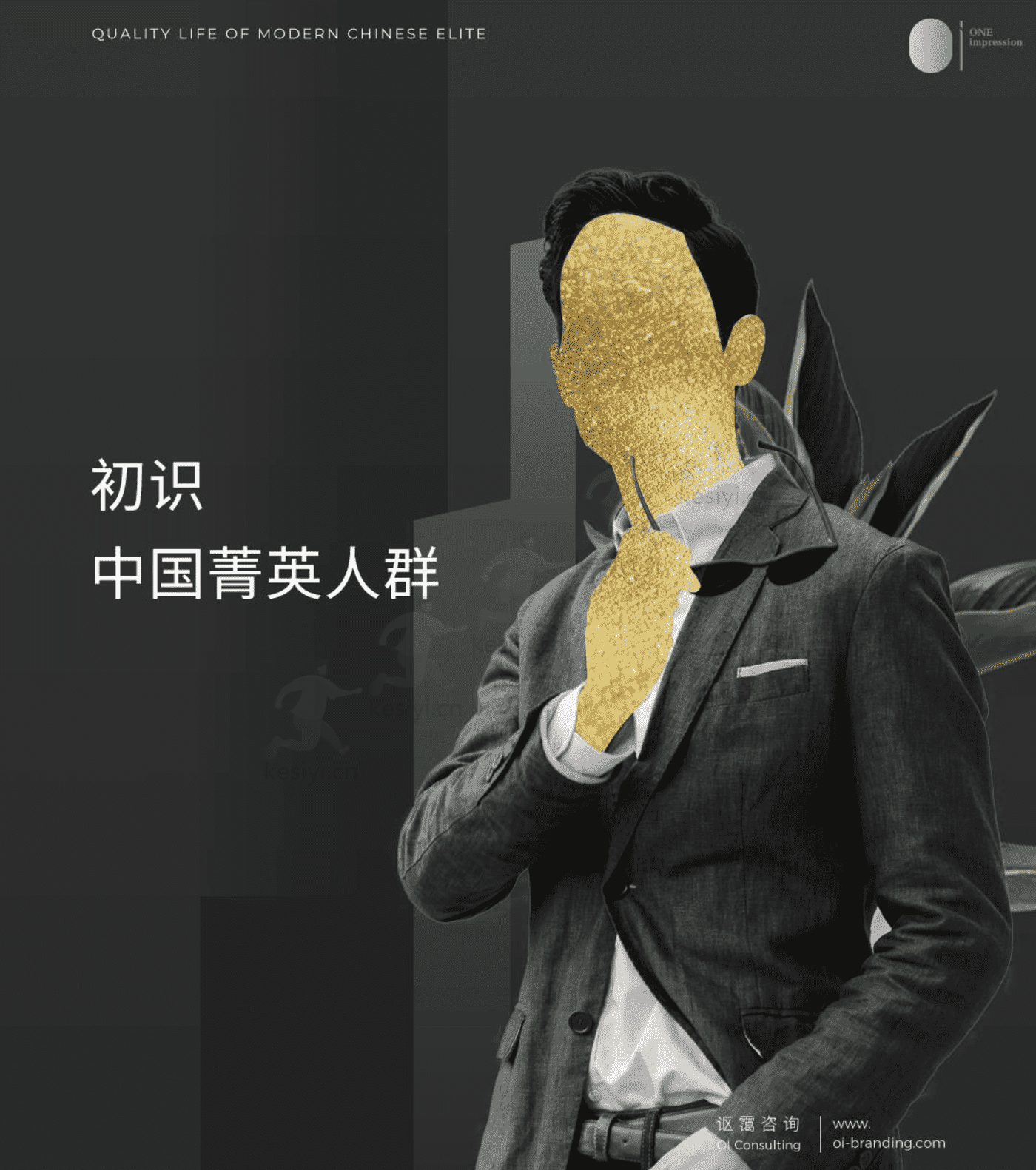 中国菁英人群品质生活白皮书 中国菁英人群品质生活白皮书