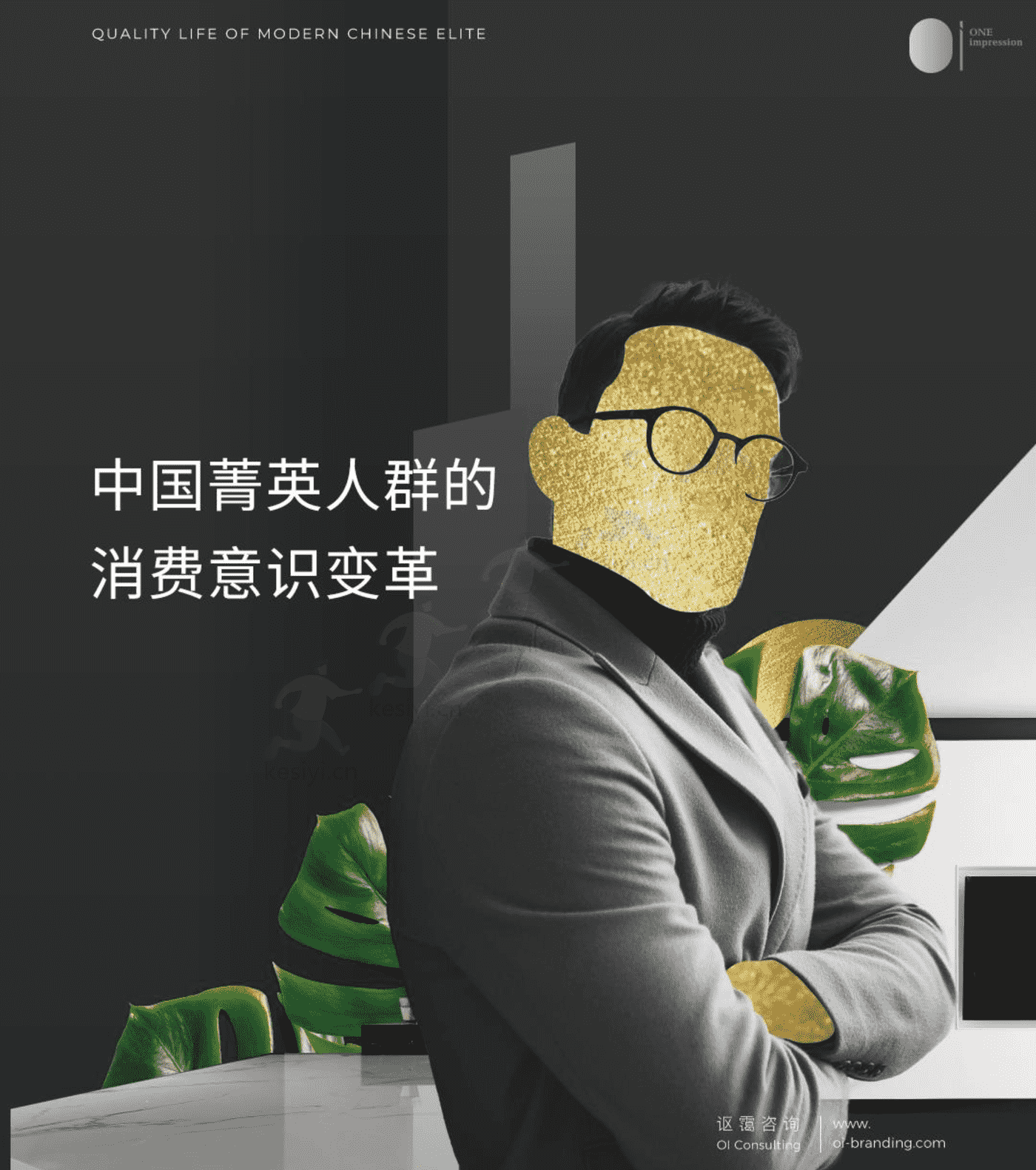 中国菁英人群品质生活白皮书 中国菁英人群品质生活白皮书