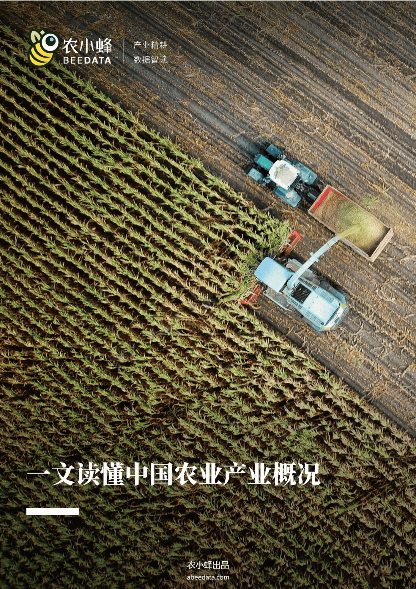 一文读懂中国农业产业概况 一文读懂中国农业产业概况