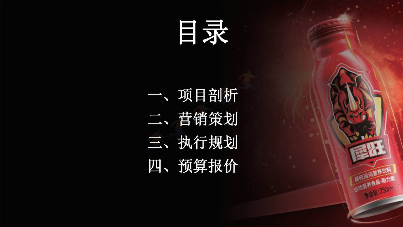 抗疲劳功能饮料小红书0-1品牌营销方案 抗疲劳功能饮料小红书0-1品牌营销方案
