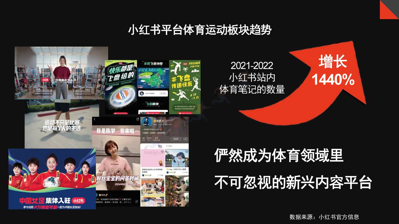 抗疲劳功能饮料小红书0-1品牌营销方案 抗疲劳功能饮料小红书0-1品牌营销方案