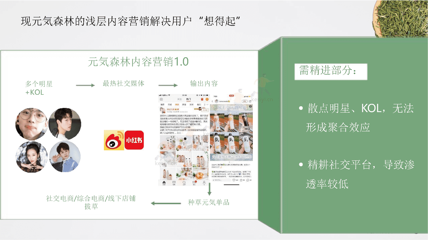 元气森林媒介投资规划方案 元气森林媒介投资规划方案