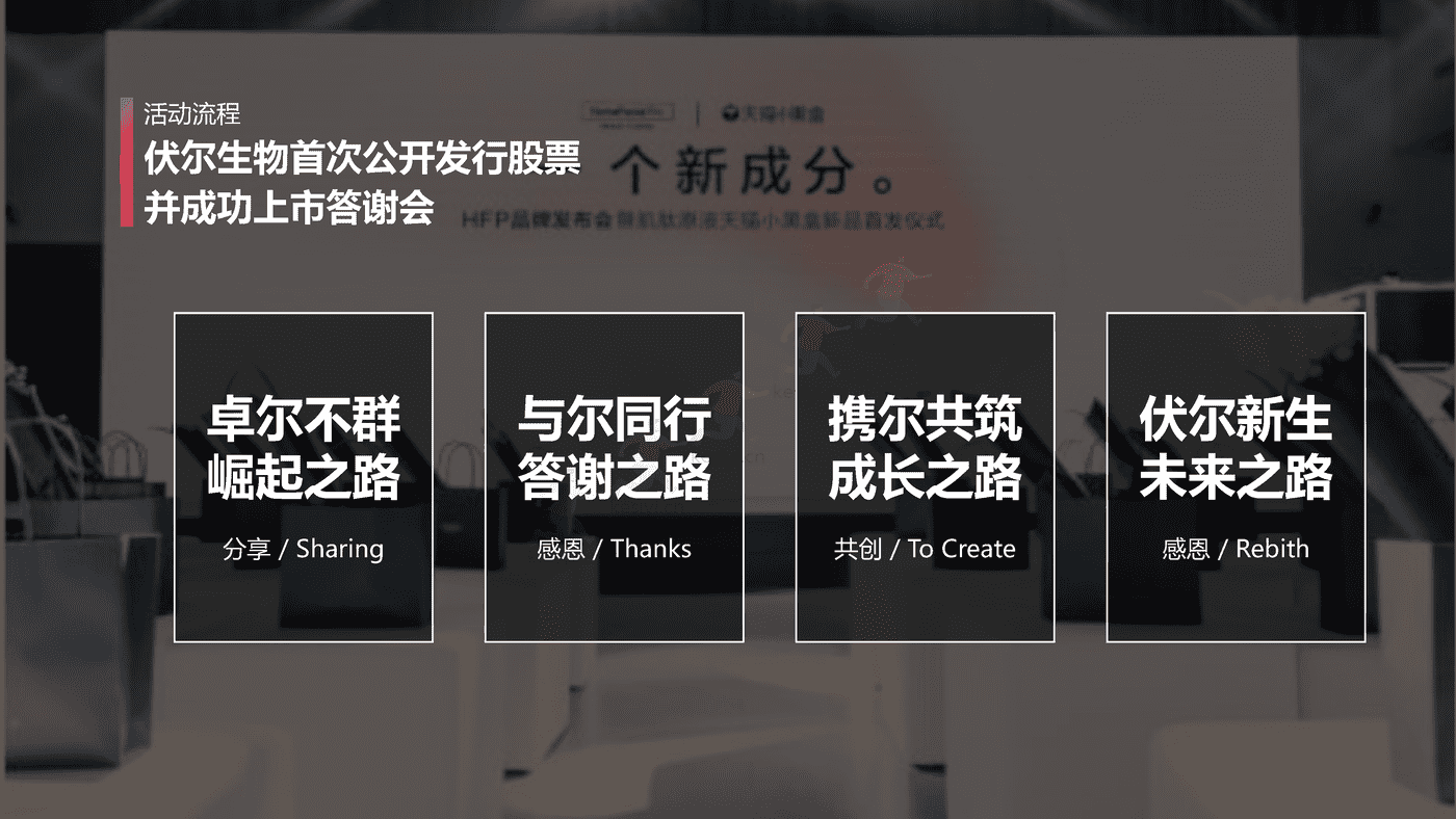伏尔集团IPO上市阶段传播活动规划方案 伏尔集团IPO上市阶段传播活动规划方案