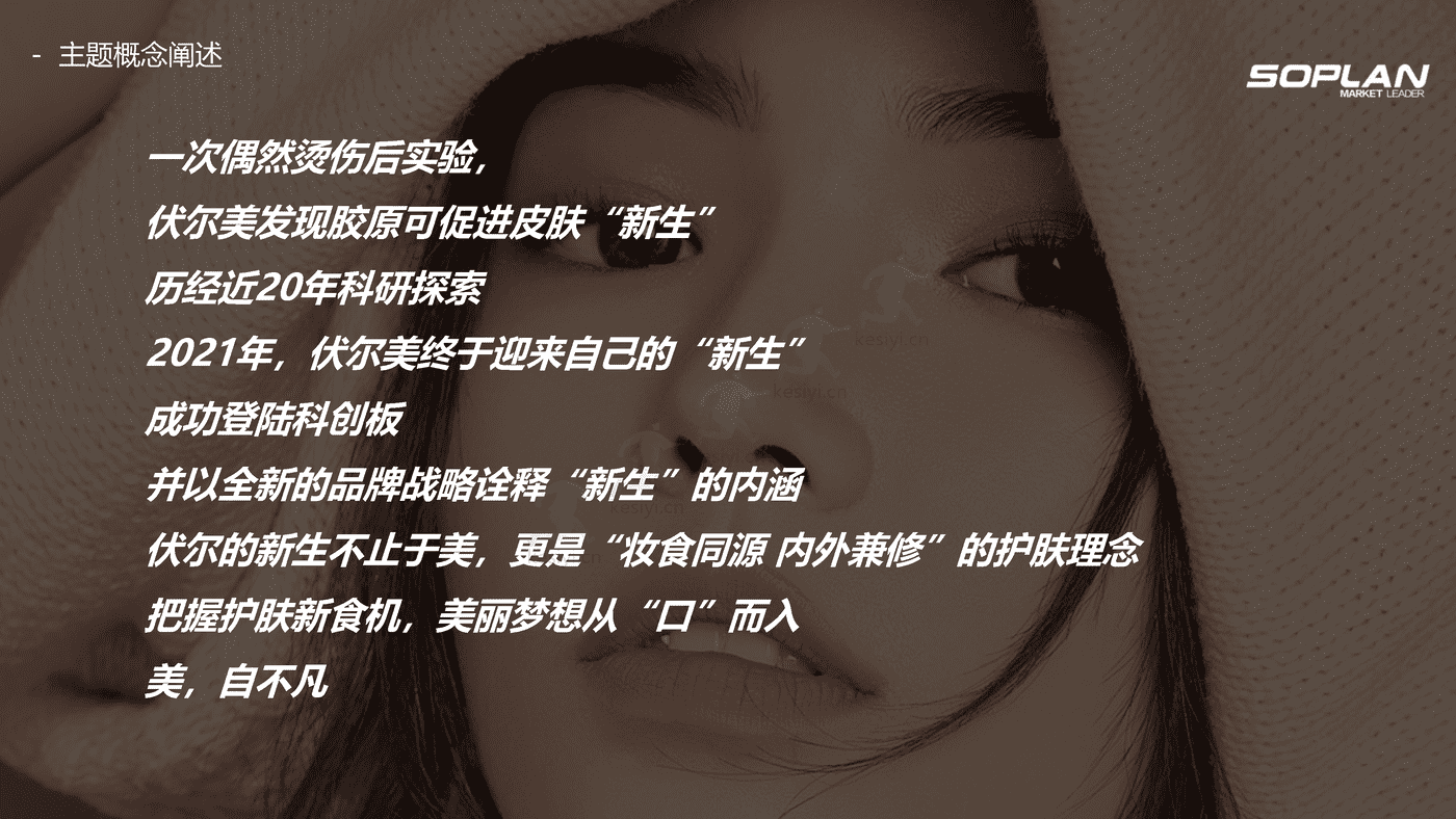 伏尔集团IPO上市阶段传播活动规划方案 伏尔集团IPO上市阶段传播活动规划方案