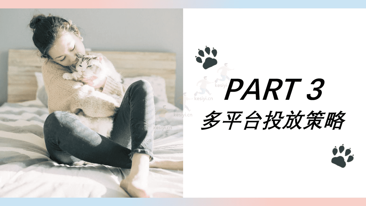 猫粮品牌线上传播策略方案 猫粮品牌线上传播策略方案