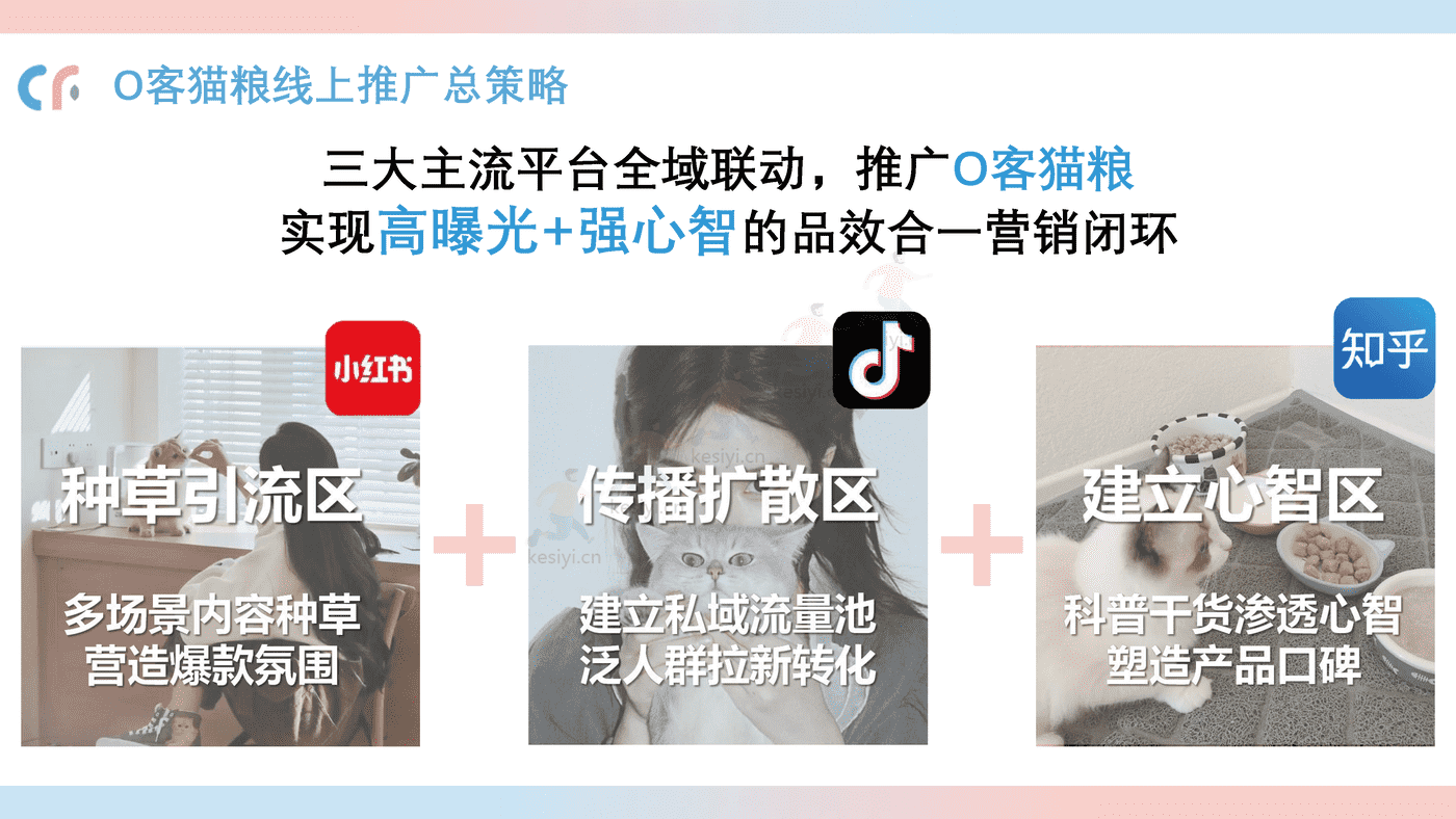 猫粮品牌线上传播策略方案 猫粮品牌线上传播策略方案