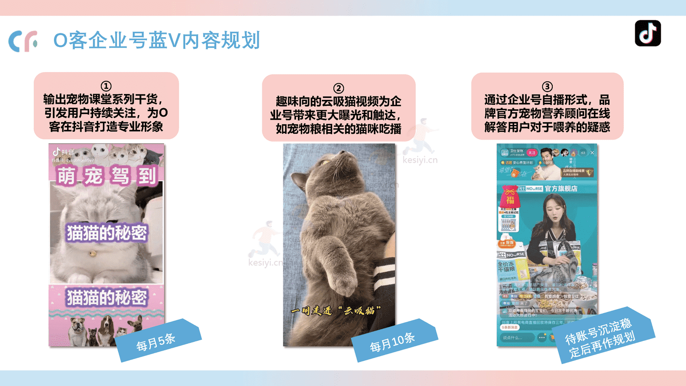 猫粮品牌线上传播策略方案 猫粮品牌线上传播策略方案