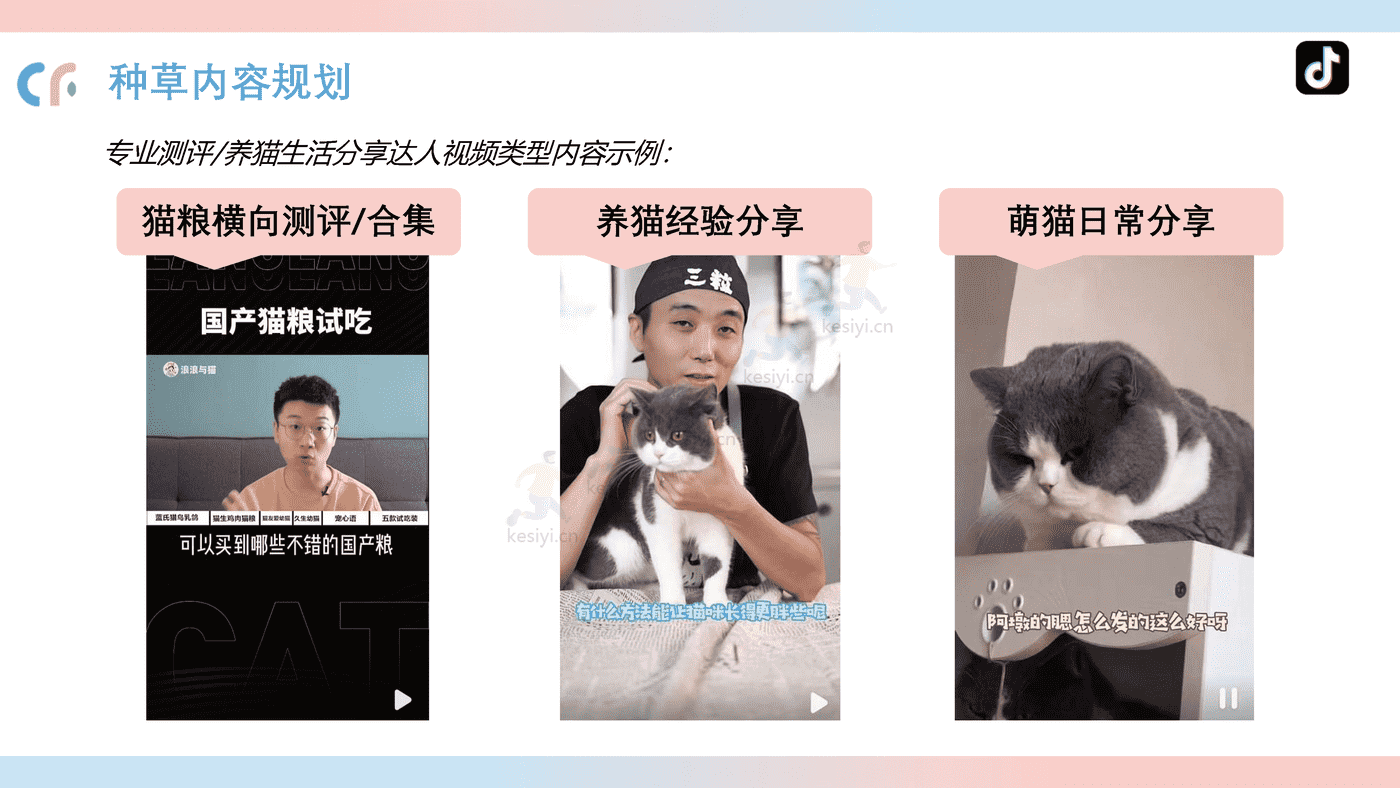 猫粮品牌线上传播策略方案 猫粮品牌线上传播策略方案