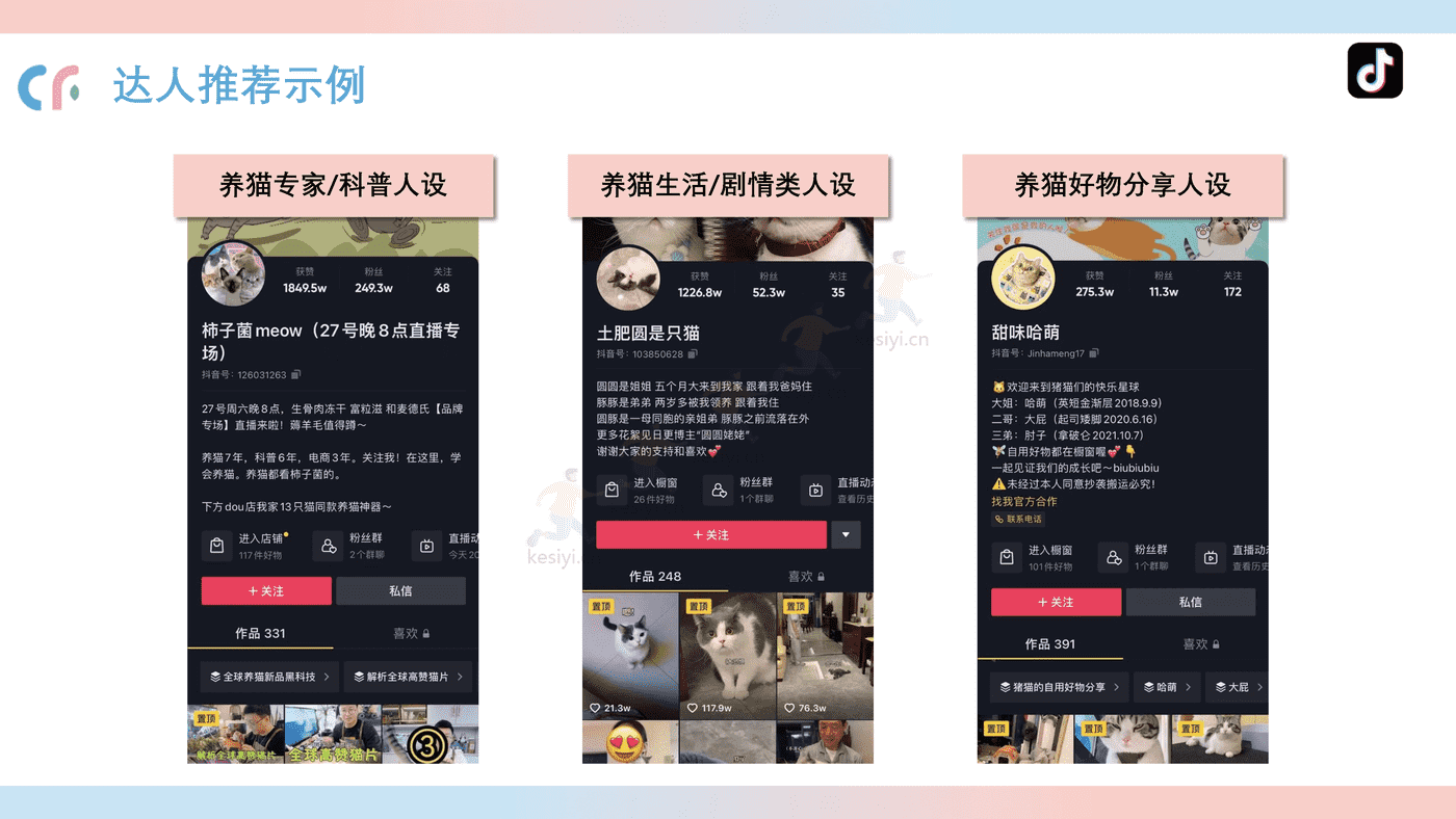 猫粮品牌线上传播策略方案 猫粮品牌线上传播策略方案