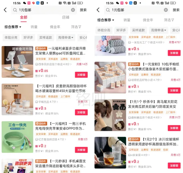 5.webp