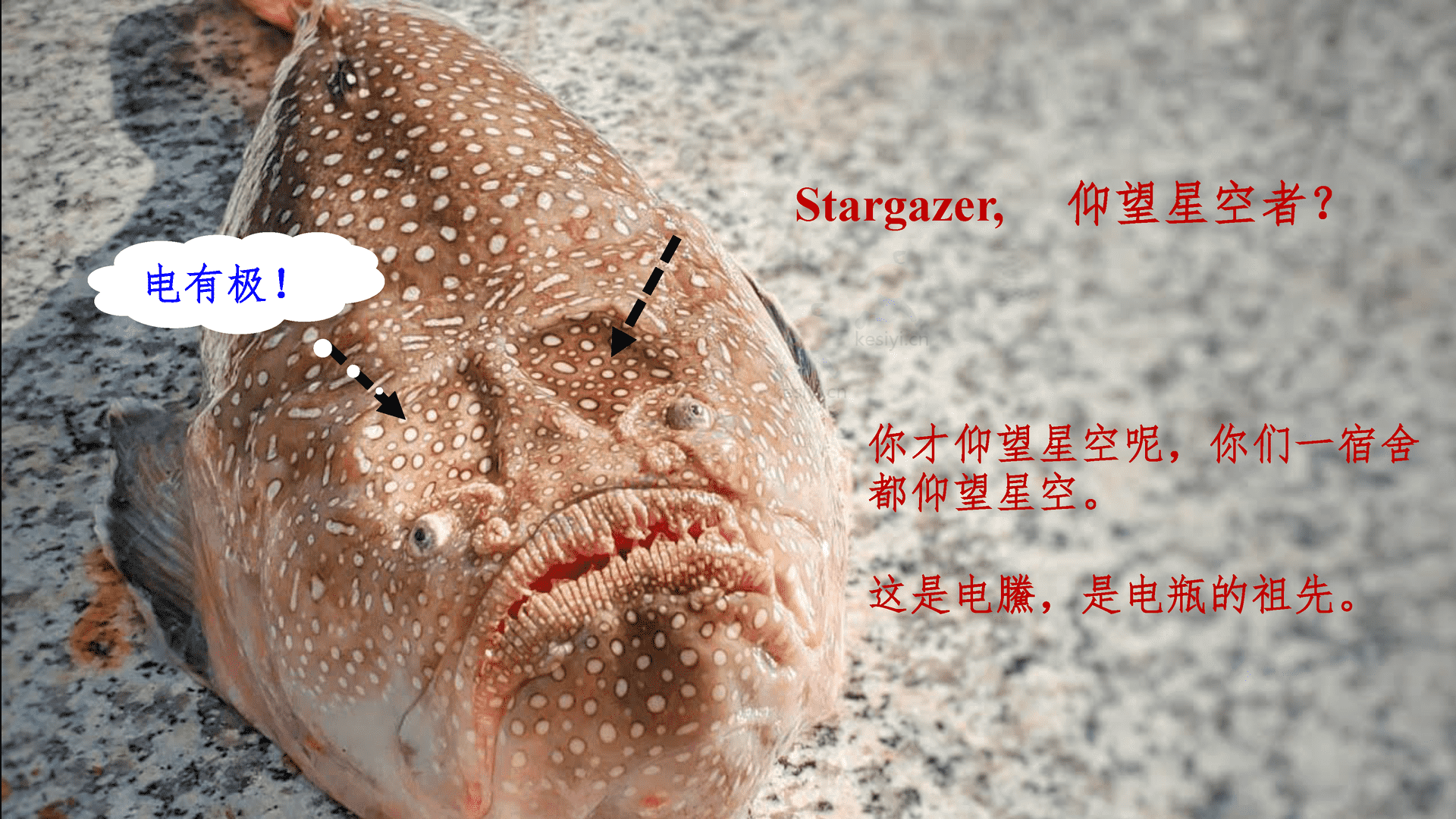 2023跨年科学演讲:复兴路上的科学力量-中国科学院 2023跨年科学演讲:复兴路上的科学力量-中国科学院