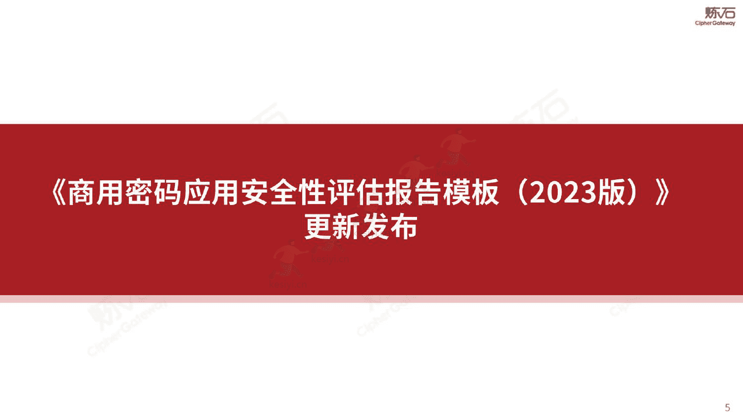 图解密评商用密码应用安全性评估-炼石 图解密评商用密码应用安全性评估-炼石