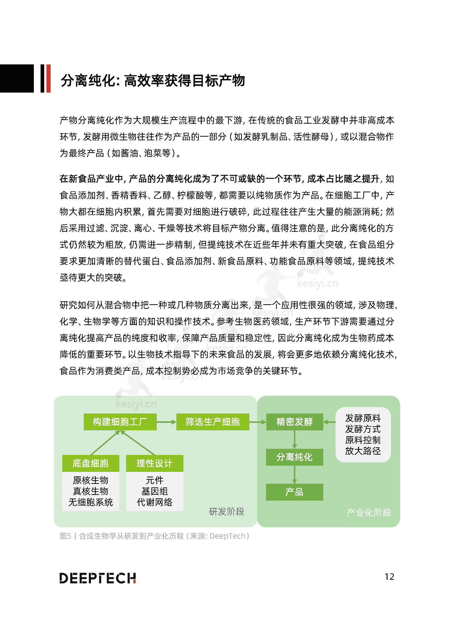 2023合成生物学在食品微生物制造中的应用与前景研究-DeepTech 2023合成生物学在食品微生物制造中的应用与前景研究-DeepTech