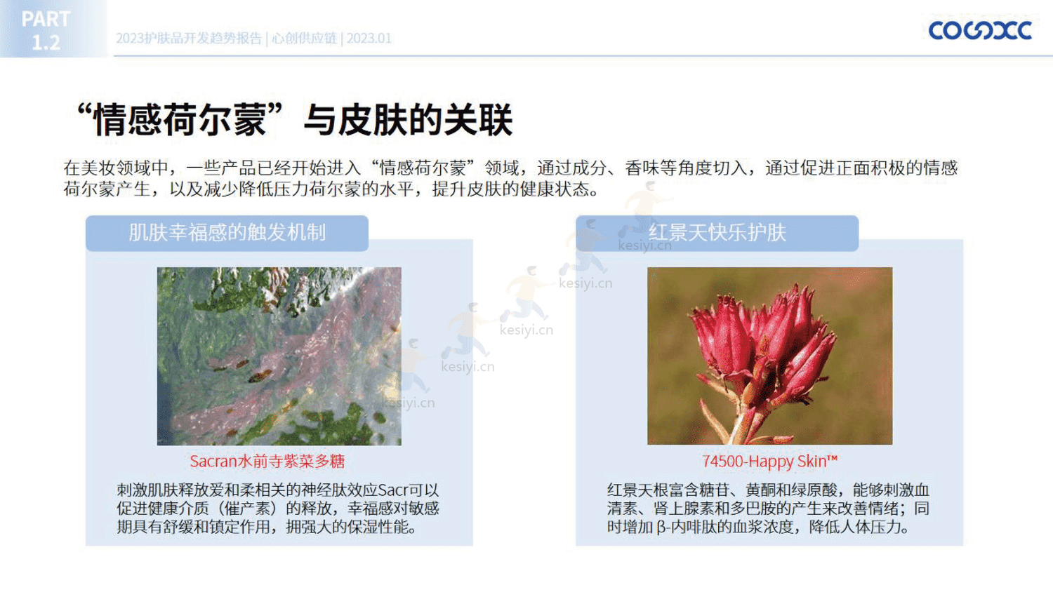 2023护肤品开发趋势报告-心创供应链 2023护肤品开发趋势报告-心创供应链