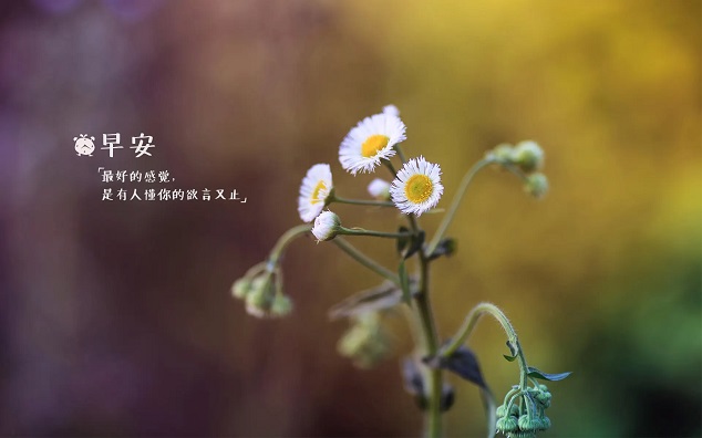 那些暖心治愈的早安文案